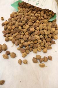 1673077671185789.jpg 杭州中医治疗结节:甲状腺结节两厘米严重吗?